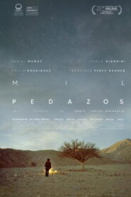 Mil pedazos