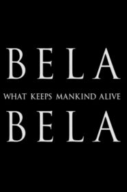 Bela Bela