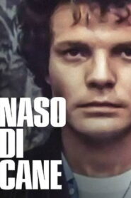 Naso di cane