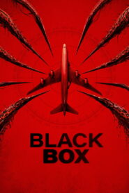 Black Box