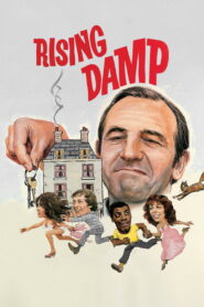 Rising Damp