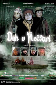 The Ghost in the Swamp