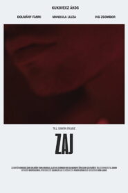 Zaj