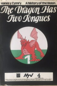 The Dragon Has Two Tongues: A History Of The Welsh